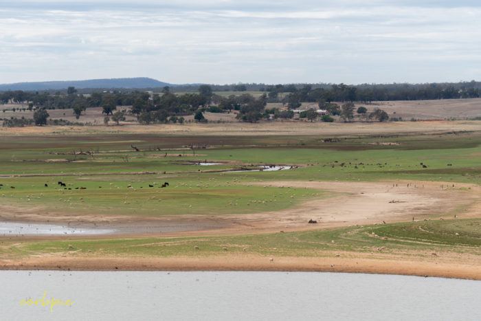 Dry Derrinal Pool Lake Eppalock 1