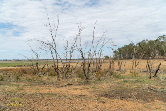 Dry Derrinal Pool Lake Eppalock 10