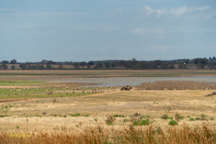 Dry Derrinal Pool Lake Eppalock 13