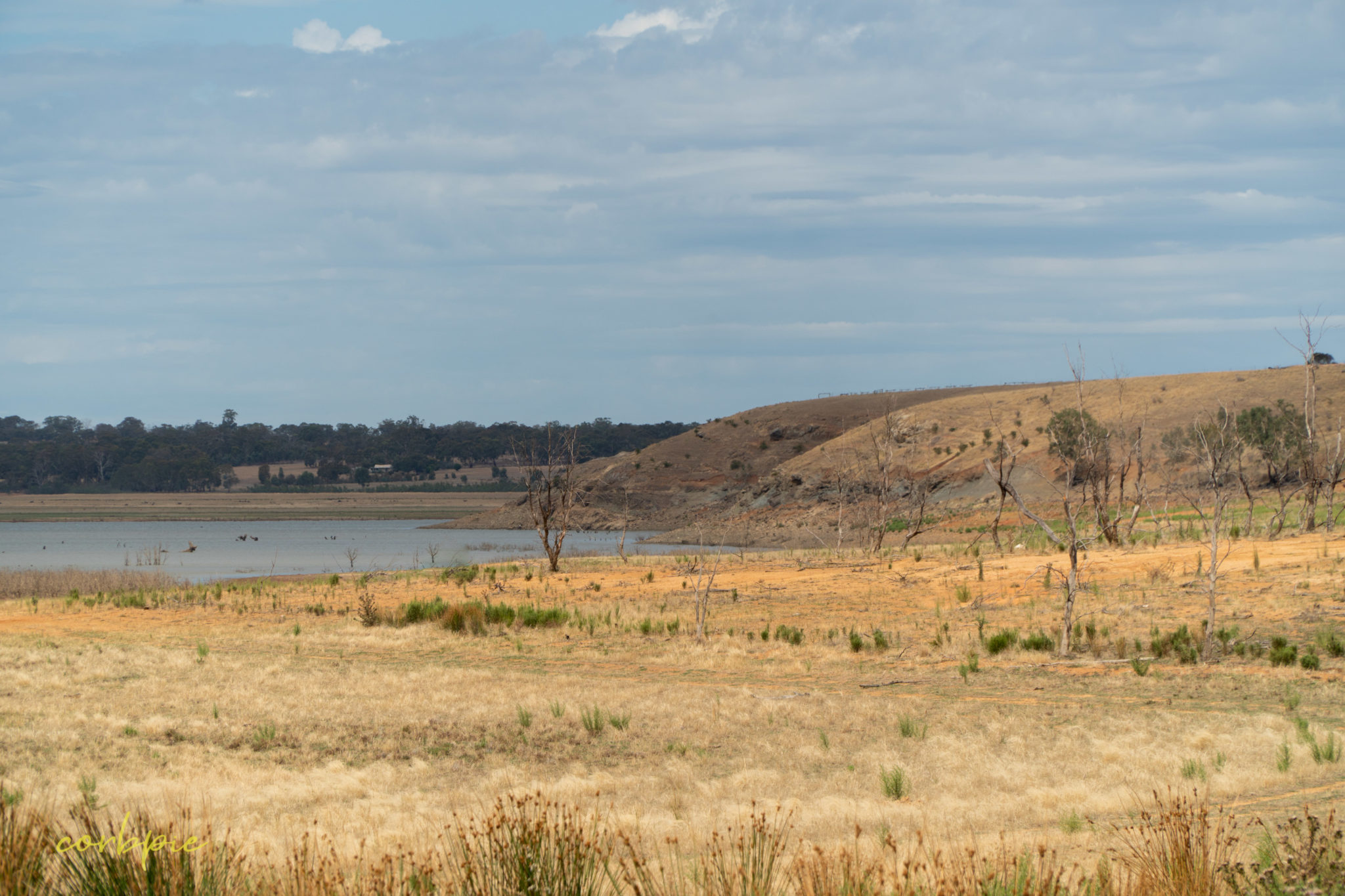 Derrinal Pool Lake Eppalock timelapse and images