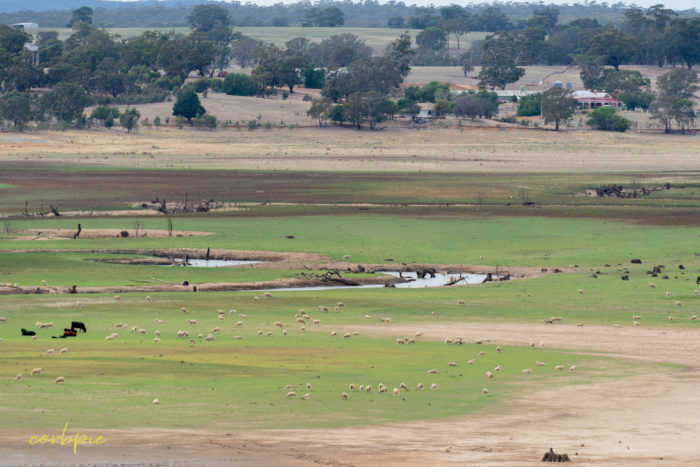 Dry Derrinal Pool Lake Eppalock 2