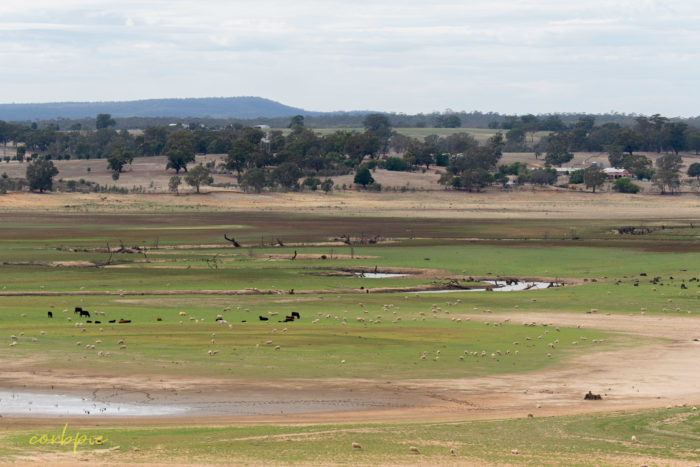 Dry Derrinal Pool Lake Eppalock 3