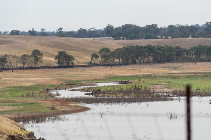 Dry Derrinal Pool Lake Eppalock 6