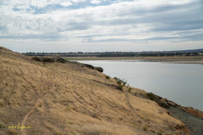 Dry Derrinal Pool Lake Eppalock 7