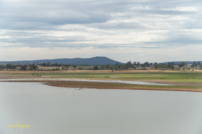 Dry Derrinal Pool Lake Eppalock 8