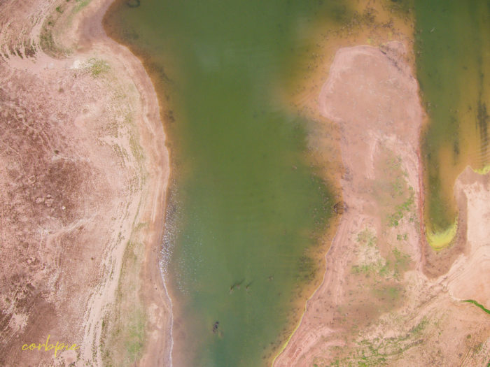 Lake Eppalock Strath Bay drone 18