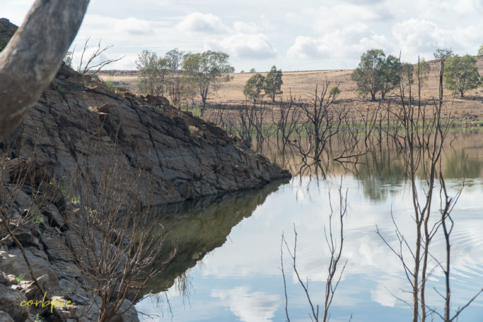 Lake Eppalock dropping levels 10 Lake Eppalock dropping levels 10