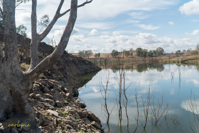 Lake Eppalock dropping levels 11 Lake Eppalock dropping levels 11