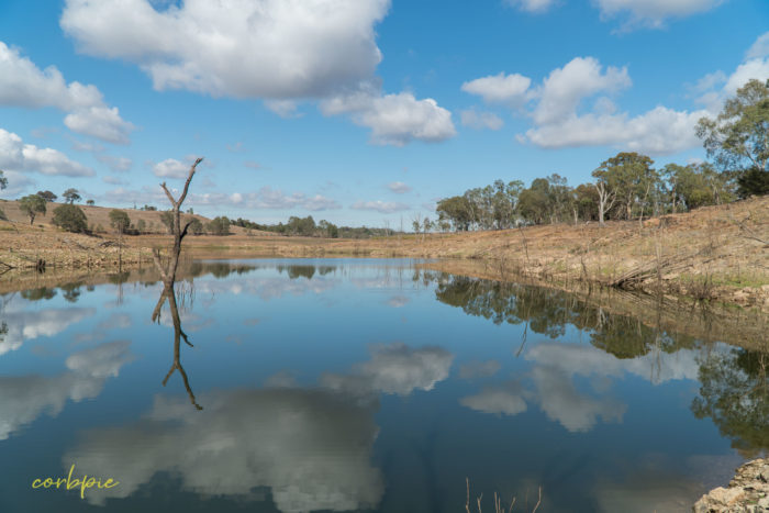 Lake Eppalock dropping levels 13 Lake Eppalock dropping levels 13
