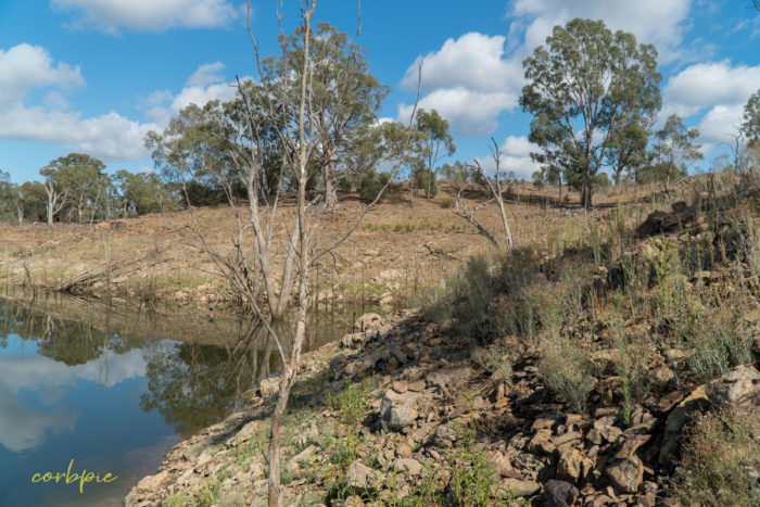 Lake Eppalock dropping levels 14 Lake Eppalock dropping levels 14