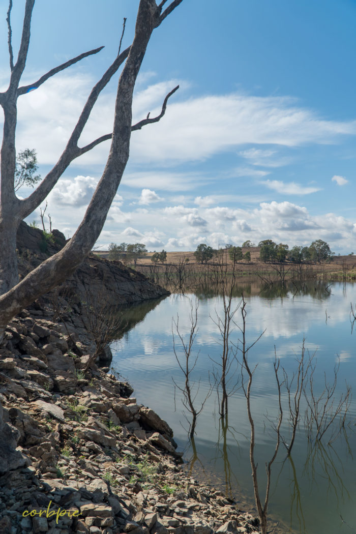 Lake Eppalock dropping levels 16 Lake Eppalock dropping levels 16