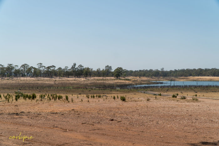 Lake Eppalock dropping levels 2 Lake Eppalock dropping levels 2