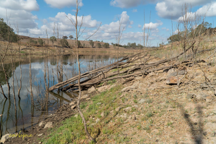Lake Eppalock dropping levels 20 Lake Eppalock dropping levels 20
