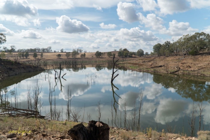 Lake Eppalock dropping levels 23 Lake Eppalock dropping levels 23