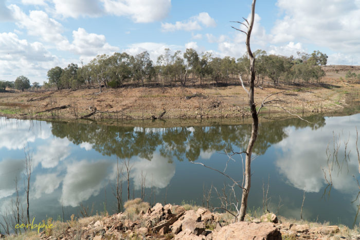 Lake Eppalock dropping levels 24 Lake Eppalock dropping levels 24