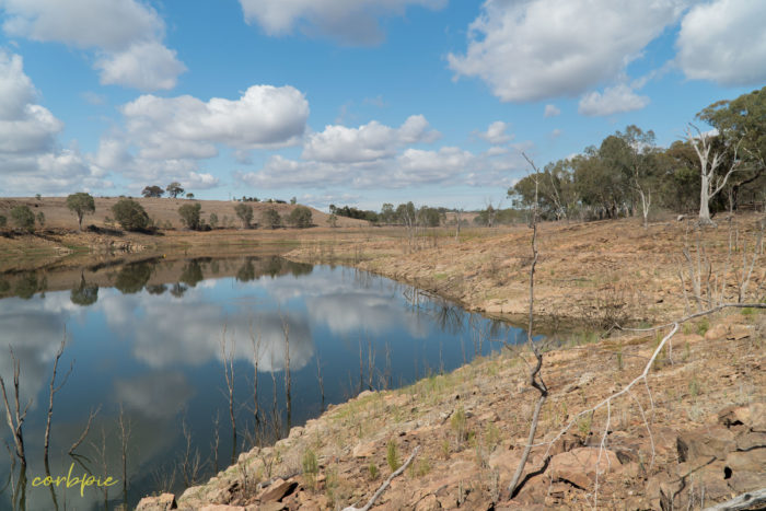 Lake Eppalock dropping levels 25 Lake Eppalock dropping levels 25