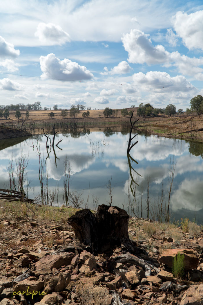 Lake Eppalock dropping levels 27 Lake Eppalock dropping levels 27