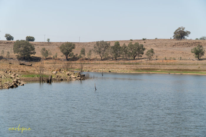 Lake Eppalock dropping levels 4 Lake Eppalock dropping levels 4