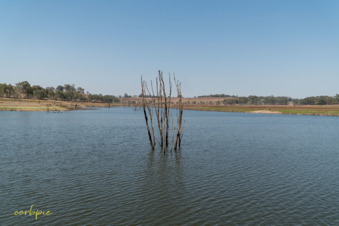 Lake Eppalock dropping levels 5 Lake Eppalock dropping levels 5