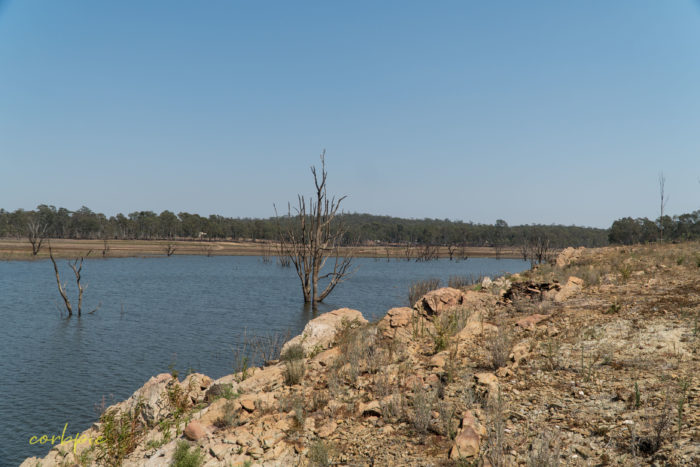 Lake Eppalock dropping levels 7 Lake Eppalock dropping levels 7