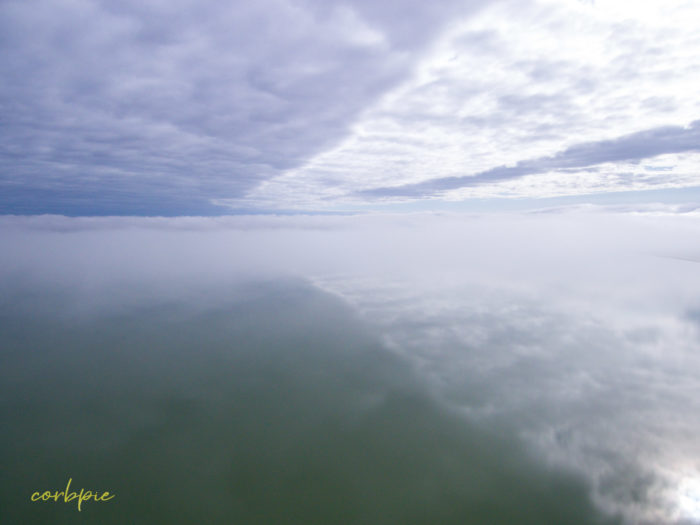 Greens Lake Victoria drone 7