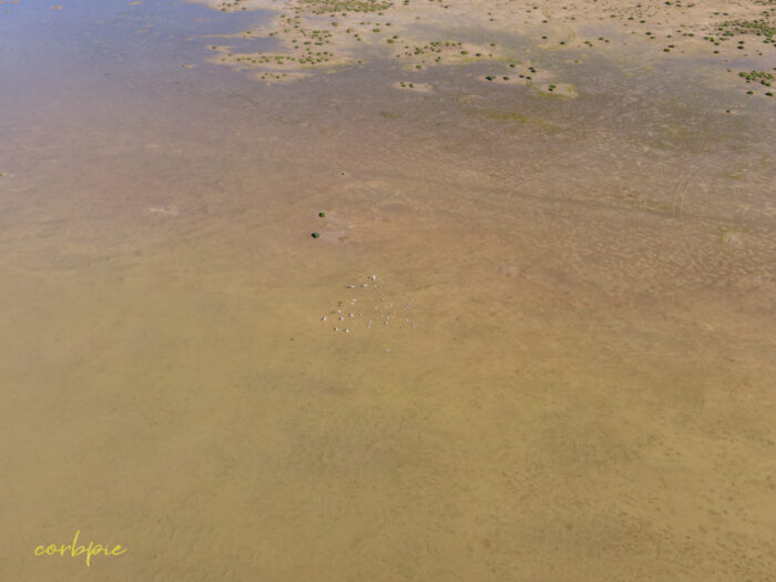 Lake Cooper with water drone 14