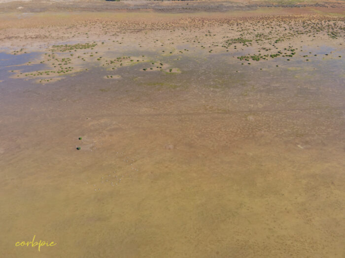 Lake Cooper with water drone 15