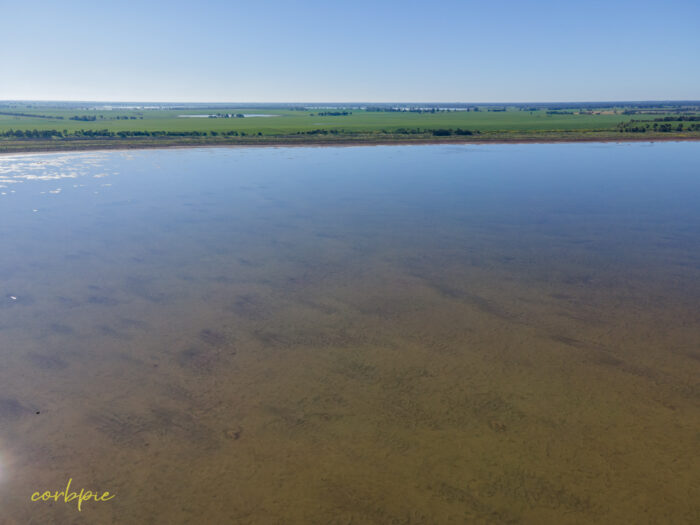 Lake Cooper with water drone 16