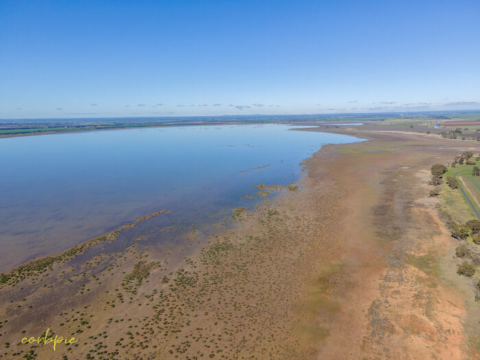 Lake Cooper with water drone 3