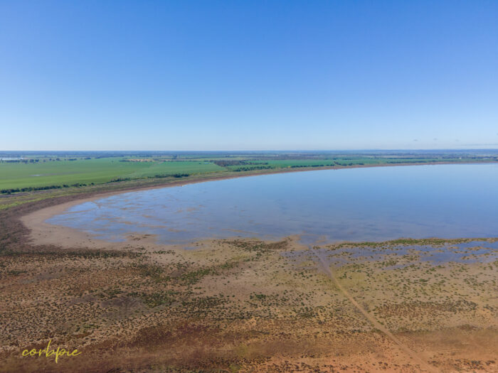 Lake Cooper with water drone 6