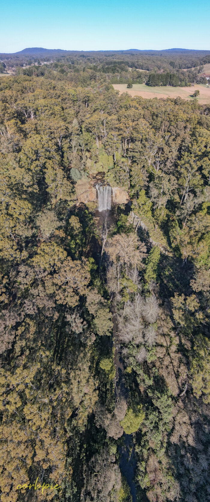 Trentham Falls drone vertical 4