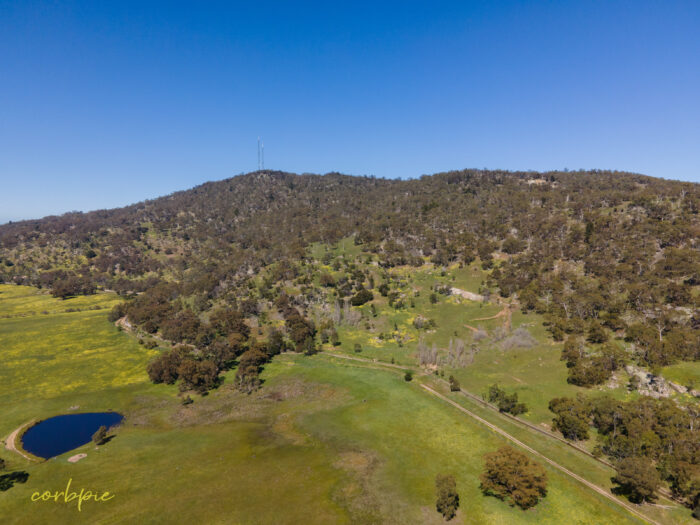 Mount Alexander drone 1