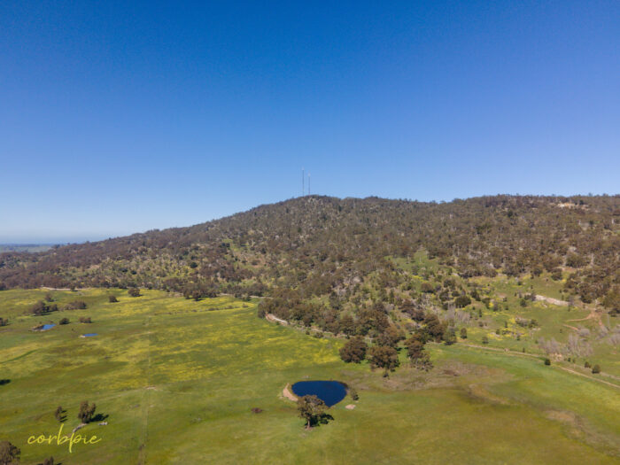 Mount Alexander drone 2