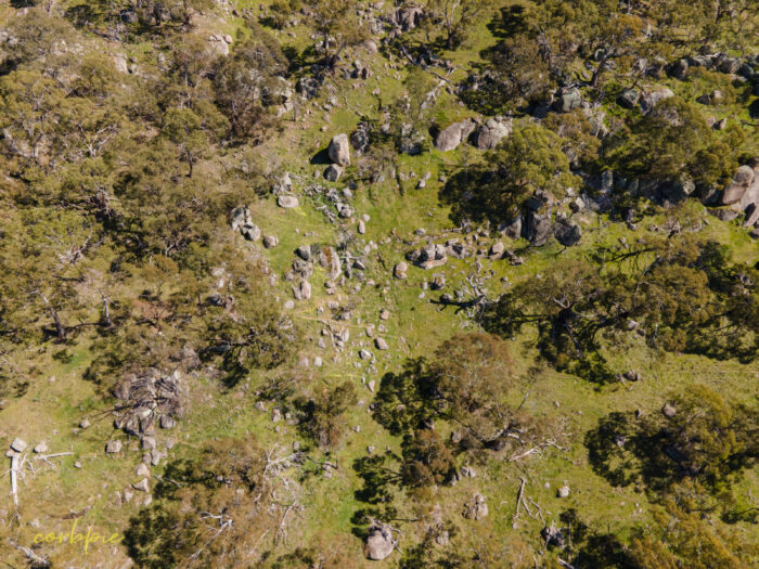 Mount Alexander drone 5