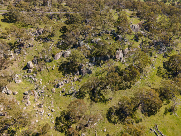 Mount Alexander drone 6