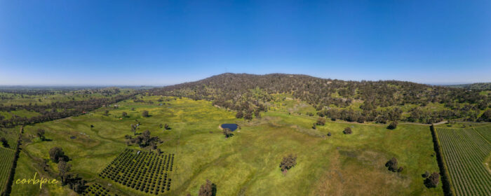 Mount Alexander drone panorama