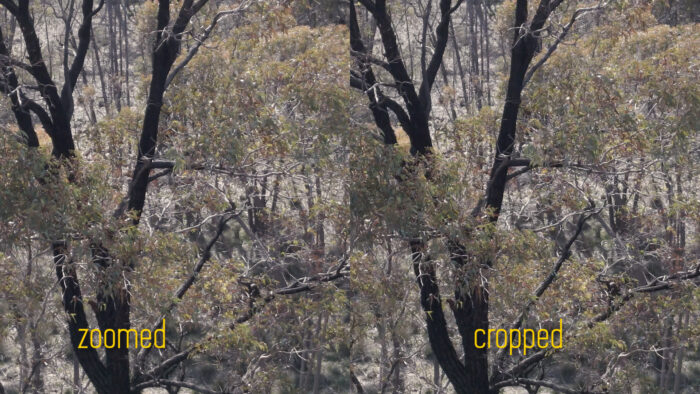 mavic air 2 zoom comparison 3 bonus mavic air 2 zoom comparison 3 bonus