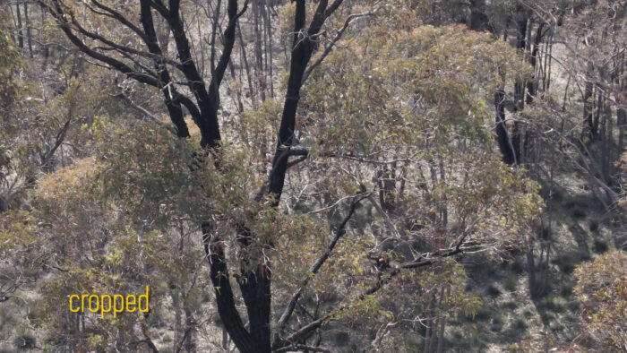 mavic air 2 zoom comparison 3 cropped mavic air 2 zoom comparison 3 cropped