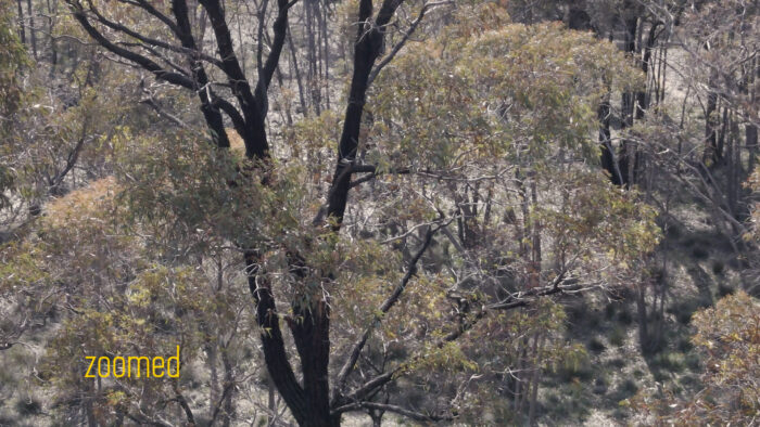 mavic air 2 zoom comparison 3 zoomed mavic air 2 zoom comparison 3 zoomed