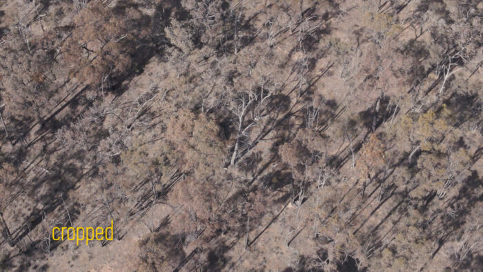 mavic air 2 zoom comparison 4 cropped mavic air 2 zoom comparison 4 cropped