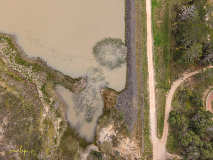 reservoir no 7 drone 11