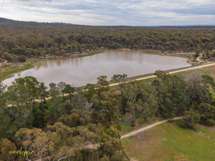 reservoir no 7 drone 14