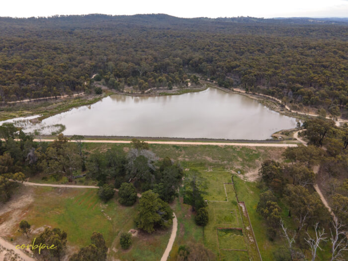 reservoir no 7 drone 6