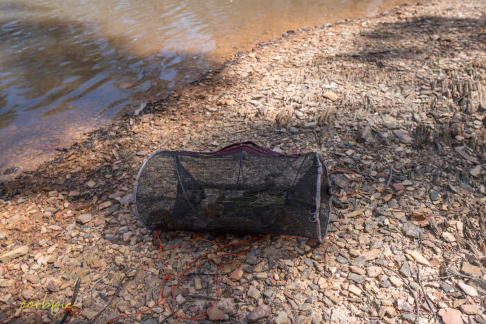 Yabby net with yabbies inside 3