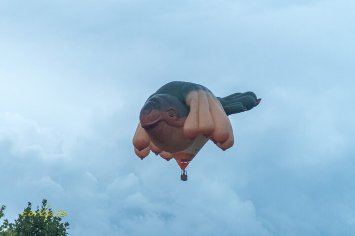 Skywhale baloonin flight Canberra Balloon Spectacular 2021