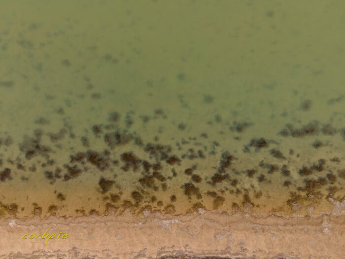 Drying Greens Lake drone 11