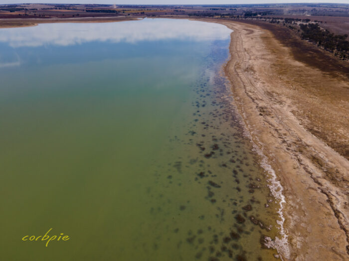 Drying Greens Lake drone 12