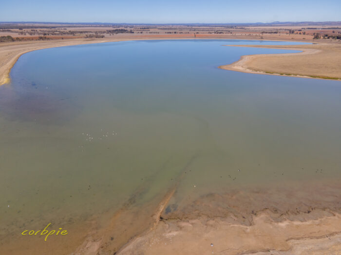 Drying Greens Lake drone 4