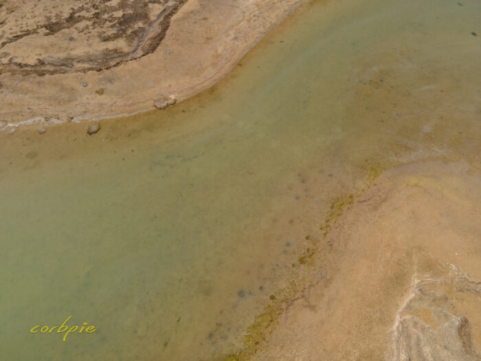 Drying Greens Lake drone 5