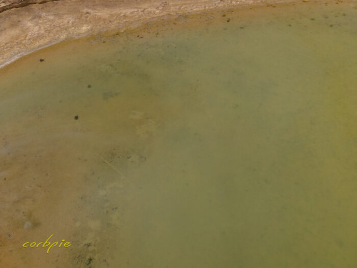 Drying Greens Lake drone 7